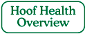 Hoof Health Overview