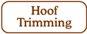 Hoof Trimming